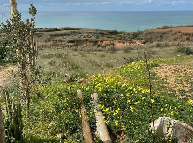 Lalita Ocean Group * 리바마르