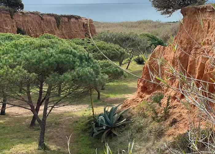 Lalita Ocean Group * 리바마르